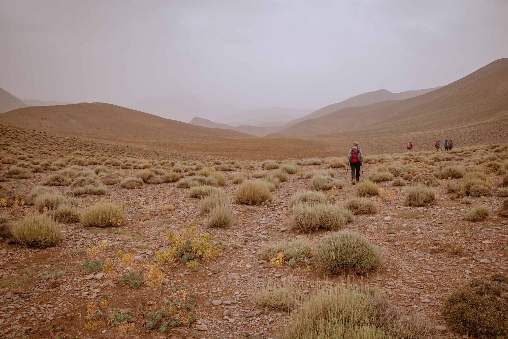 Sahara Desert